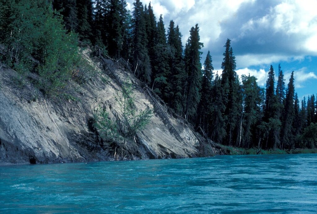 Kenai River